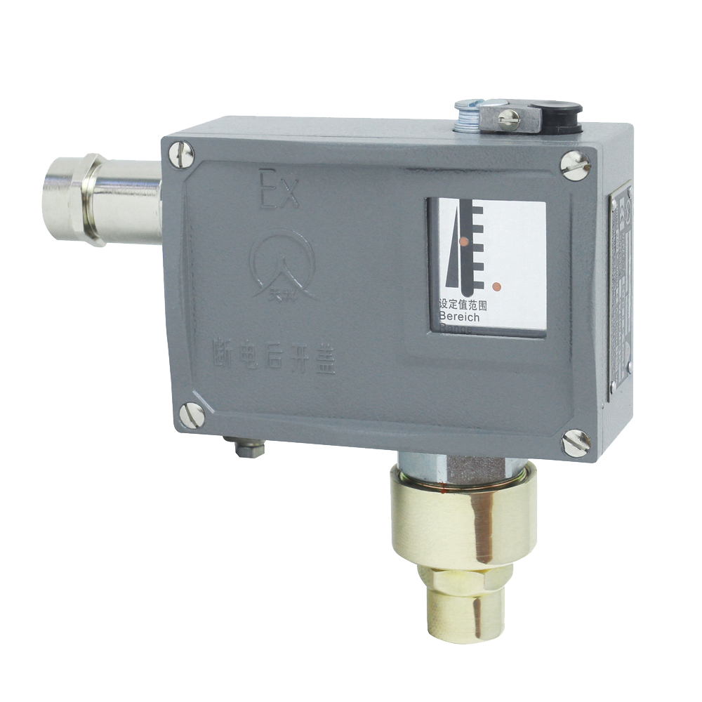 502/7D防爆壓力開關(guān) 502/7D防爆壓力開關(guān)